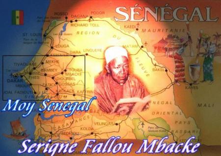 moy senegal